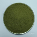 Suco de grama de trigo orgânico em pó verde